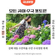김해 대동 수안마을 수안 수국정원 축제 포토존 부산 근교 꽃구경 명소
