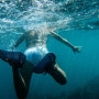 프리다이빙과 수영의 차이 남자 수영복 슈트 자격증 강습