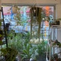 창원 상남동 식물 카페 풀멍 화분식물 판매 주차장 정보