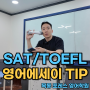 [목동 SAT / 목동토플] 영어 에세이 : 정부가 예술 자금을 지원해야 하는가? GRE / SAT / TOEFL Writing