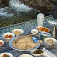 담양 용흥사계곡 올여름 계곡식당은 토종식당 식당