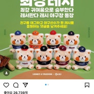 [KBO x 에버랜드] 레시 앤 프렌즈 콜라보 굿즈 구매 후기.. (인형, 키링, 배지/ 한화이글스 키링 성공 ..!!/ 카카오톡 선물하기 링크 첨부)