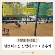 천안 태조산 산림레포츠 숲놀이터(공중네트)/짚라인/유아숲체험원 후기