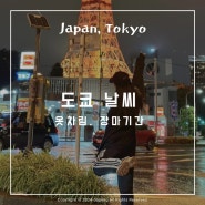 일본 도쿄 날씨 예보 사이트 6월 여행 옷차림 장마 기간