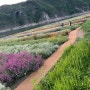 단양가볼만한곳 대단지 도담정원 산책코스로좋았어요~