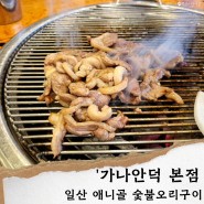 가나안덕 일산본점' 일산 애니골 맛집/숯불 오리구이