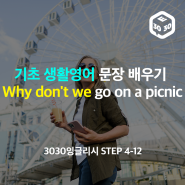 기초 생활영어 문장 배우기 why don't we go on a picnic