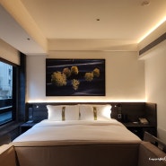 트립닷컴 홍콩섬 4성급 엠파이어 프레스티지 코즈웨이 홍콩 호텔 할인 예약