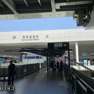 [06.14-16 여행갔따리] in OSAKA : 갤럭시24 eSIM추가 방법 /오사카 도착 + '호텔 알프스' 트리플룸 후기
