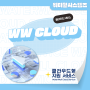 WW Cloud(워터월 클라우드) : 클라우드형 DLP 서비스 지원 시스템