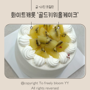 과천 케이크 맛집 ‘화이트캐롯’ 골드키위 홀케이크🎂 예약 주문