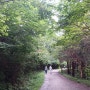 병풍산 편백나무 숲 트레킹 길