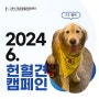[강아지 헌혈견 캠페인] 24시 더휴동물의료센터 6월 정기 헌혈견 :: 9호 열이 :: "헌혈은 즐거운 것!" 김해 동물병원