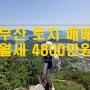 부산 전자제품 대리점 임대 된 토지 매매