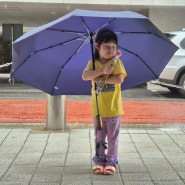 두 명이서도 넉넉하게 쓰기 좋은 자동3단우산 카르페디엠 우산