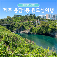 제주공항 근처 원도심 여행 용담1동 볼거리 용연구름다리 제주향교 서문시장