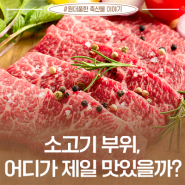 소고기 부위, 어디가 제일 맛있을까~? 근육도감 [소고기편]