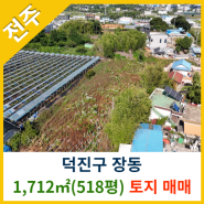 [전주토지매매] 덕진구 장동 1,712㎡(518평) 토지매매