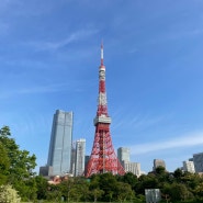 일본 도쿄타워 호텔 더 프린스 파크 타워 도쿄 스탠다드 트윈룸 리뷰