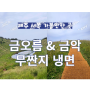 제주 서쪽 가볼만한 곳 금오름 & 금악 무짠지 냉면