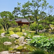 서울식물원 여름 주말 데이트 가볼만한곳