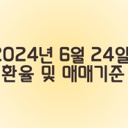 2024년6월24일 환율 및 매매기준율