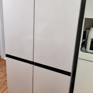비스포크 신제품 RF90DG90124E 대용량 냉장고 구매!