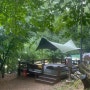 태학산자연휴양림 캠핑 B12 숲속야영장 우중캠핑