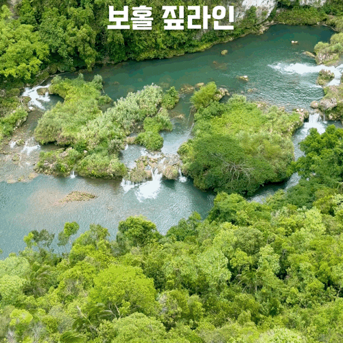 보홀 몽키호핑 짚라인 육상투어 코스 추천 로복 에코투어리즘 어드....
