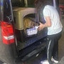 뉴질랜드 오클랜드에서 홍콩으로 입국한 진도견 축복이 : 강아지 고양이 홍콩 동물검역 동물운송 절차 비용
