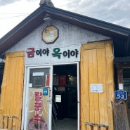 속초 장칼국수 오징어순대 맛집 금이야옥이야