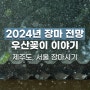 2024년 장마 전망 제주도, 서울 장마 시기와 우산꽂이 이야기