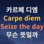카르페디엠 뜻 Carpe diem, seize the day 뜻