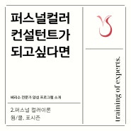 베리수 퍼스널컬러 전문가 양성과정 2 - 퍼스널컬러 이론/ 웜,쿨 포시즌