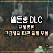 엘든링 DLC 그림자나무파편 위치 모음 - 묘지평원편