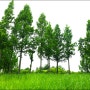 (6월 21일) 초록 세상 선유도공원, 한여름에도 강바람이 불어서 시원한 곳(2/2편)