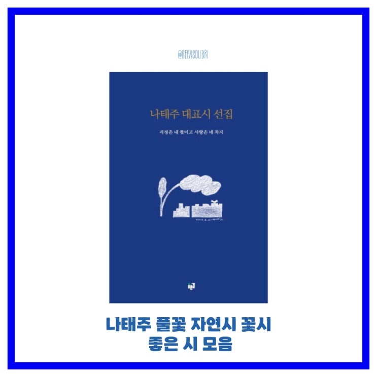 나태주 풀꽃 자연 시 꽃시에 관한 나태주 시인의 좋은 시 모음 : 네이버 블로그