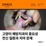고양이 구강관리 구내염 치은염 치주염 예방 치과의 중요성 - 그레이스 고양이 심장&치과병원