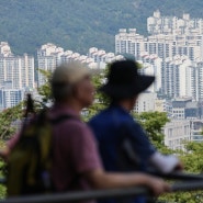 "집 좀 파세요"…집주인에 '문자 폭탄' 쏟아지는 이 동네