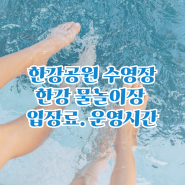 한강공원 수영장 여의도 한강 수영장 뚝섬,한강 물놀이장(양화.난지.잠실)입장료. 주차장