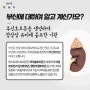 [부신] 은 뭘까요? 신장위 꼬깔처럼 생겨진 호르몬 생성기관