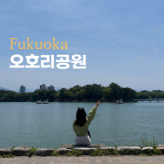 일본 후쿠오카 오호리공원 가는법 카페 자유여행 코스