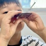 초등학생면역력 키우기 우리아이들 먹는 성장기영양제 앙팡 성장보경