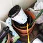 화분흙버리기 배출방법, 깨진 화분 버리는 법 (불연성쓰레기봉투/폐기물마대자루)