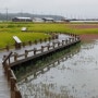 증도 태평염전(曾島 太平鹽田)