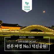 전주 야경은 어디서? 덕진공원!