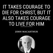 그리스도를 위한 용기(존 맥아더)