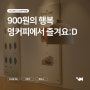 영커피에는 900원 메뉴가 있다!