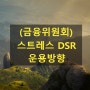 (금융위원회)스트레스 DSR 운용방향