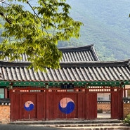 경북 청도 여행, 청도향교 독특한 배치와 400년 느티나무
